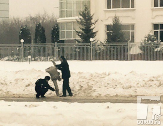 Любопытную картину засняли на улице Юбилейной в Тольятти 