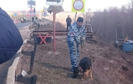 Боеприпасы найдены на обочине  дороги "Богатое - Оренбург"