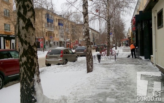 В Тольятти с уборкой первого снега возникли проблемы 