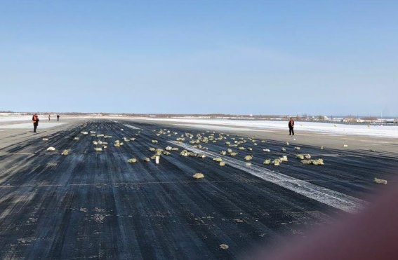 Все выпавшие из самолета слитки золота найдены