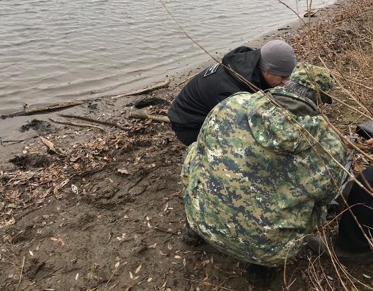 Тело младенца нашли на берегу озера Сарма 