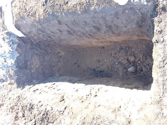 Могилу раскопали, вытащили гроб, положили в яму тело Михаила