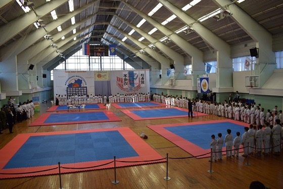 На открытии чемпионата и первенства Тольятти по стилевому каратэ