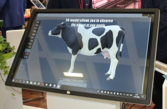 3D-атлас коровы создавали два самарских университета 