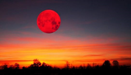 Луна во время затмения приобретает клубничный цвет