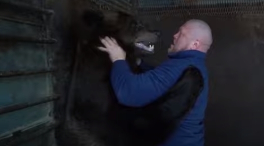Максим Новоселов против медведя 