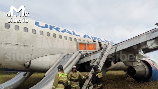 Самолет Сочи — Омск экстренно сел в поле 