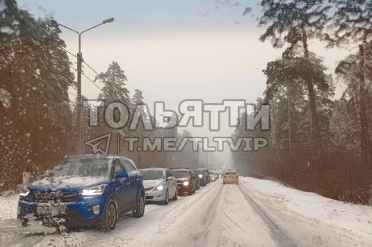 На дорогу в зеленой зоне Тольятти лучше не соваться 