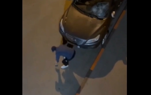 Мигрант разбивал припаркованный автомобиль кирпичами  