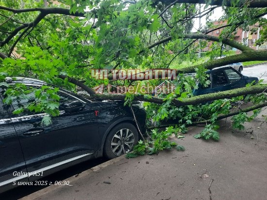 На Дзержинского, 13 дерево упало на автомобили