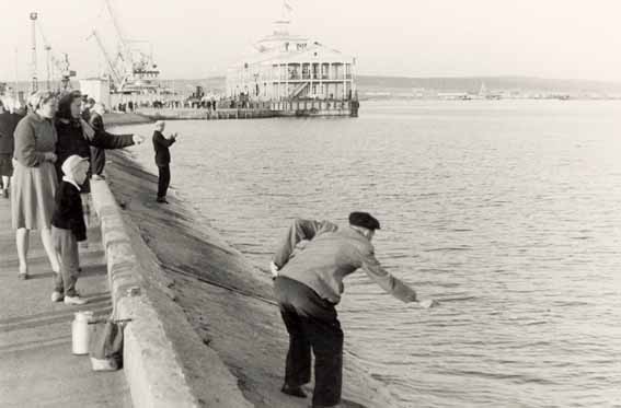 Набережная у речника жива полвека. Фото 1960-х