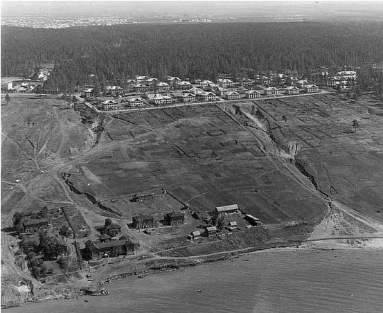 Территория на припёке. Разметка под дачи. 1950-е гг.